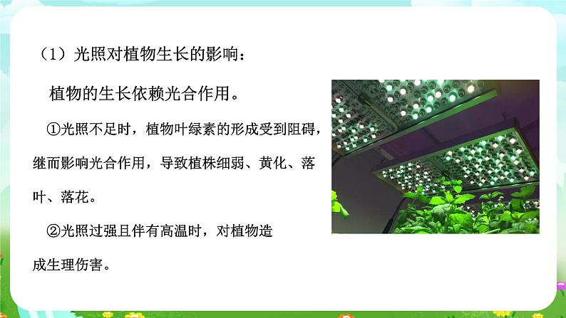 浙教版科学九下 2.1《生物与环境的相互关系》课件第6页