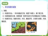 浙教版科学九下 3.2《来自微生物的威胁》第1课时 课件+教案+学案+素材