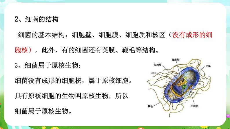 浙教版科学九下 3.2《来自微生物的威胁》第1课时 课件第5页