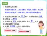 浙教版科学九下 3.2《来自微生物的威胁》第2课时 课件+教案+学案+素材