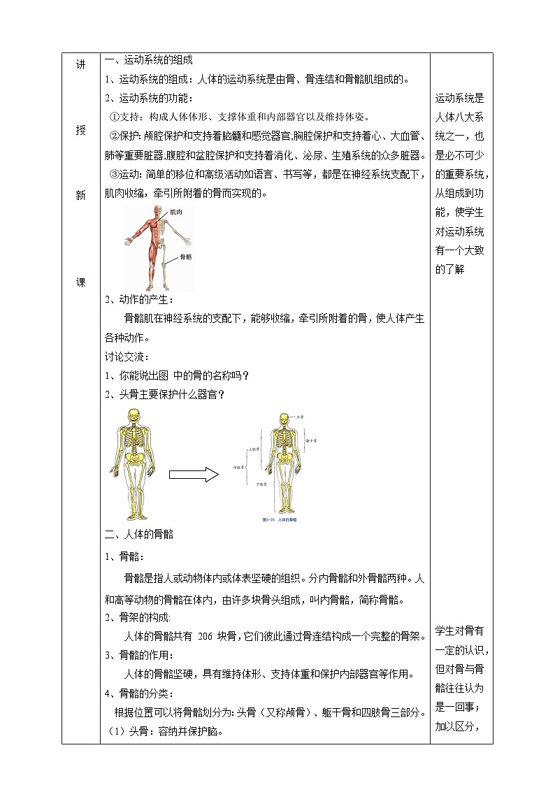 浙教版科学九下 3.5《人的运动系统和保健》第1课时 教案第2页