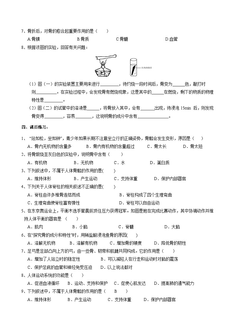 浙教版科学九下 3.5《人的运动系统和保健》第1课时 学案第3页