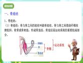 浙教版科學九下 3.5《人的運動系統(tǒng)和保健》第2課時 課件+教案+學案+素材