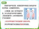 浙教版科学八下 3.5《生物的呼吸和呼吸作用》第1课时 课件+教案+练习