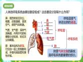 浙教版科学八下 3.5《生物的呼吸和呼吸作用》第1课时 课件+教案+练习