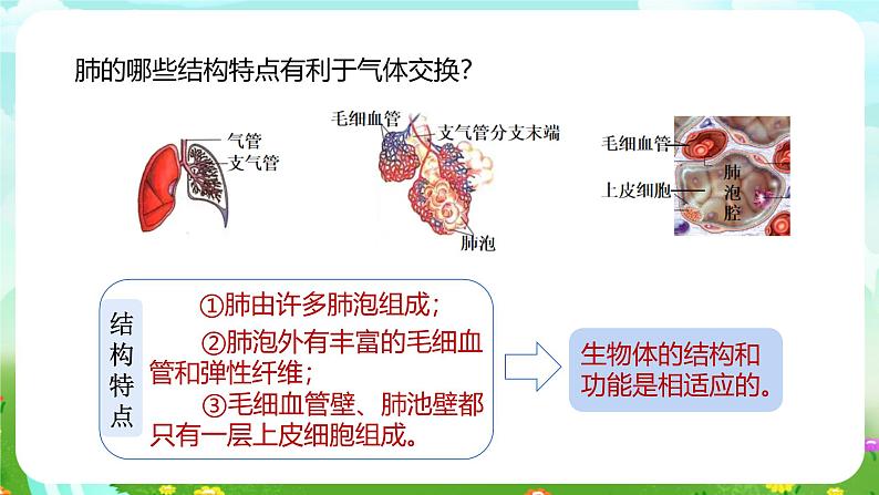 浙教版科学八下 3.5《生物的呼吸和呼吸作用》第1课时 课件第4页