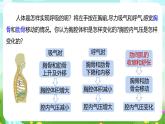 浙教版科学八下 3.5《生物的呼吸和呼吸作用》第1课时 课件+教案+练习