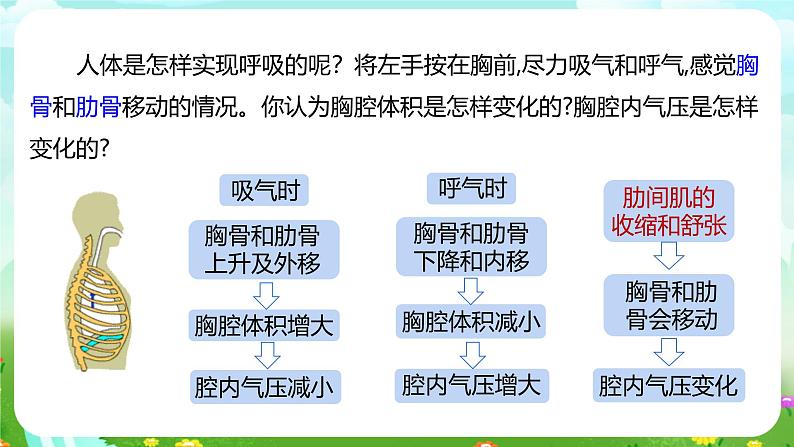 浙教版科学八下 3.5《生物的呼吸和呼吸作用》第1课时 课件第5页