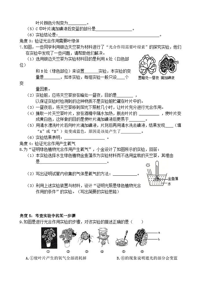 浙教版科学八下 3.6《光合作用》第1课时 练习第2页