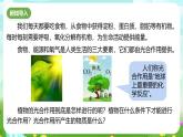浙教版科学八下 3.6《光合作用》第1课时 课件+教案+练习+素材