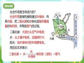 浙教版科学八下 3.6《光合作用》第1课时 课件+教案+练习+素材