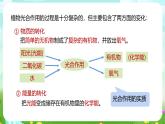 浙教版科学八下 3.6《光合作用》第1课时 课件+教案+练习+素材
