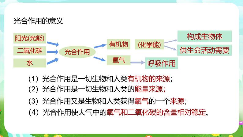 浙教版科学八下 3.6《光合作用》第1课时 课件第5页