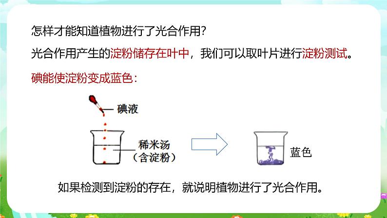 浙教版科学八下 3.6《光合作用》第1课时 课件第6页