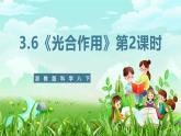 浙教版科学八下 3.6《光合作用》第2课时 课件+教案+练习