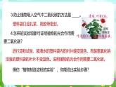 浙教版科学八下 3.6《光合作用》第2课时 课件+教案+练习