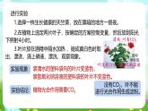 浙教版科学八下 3.6《光合作用》第2课时 课件+教案+练习