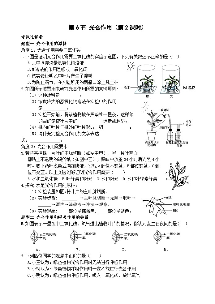 浙教版科学八下 3.6《光合作用》第2课时 练习第1页