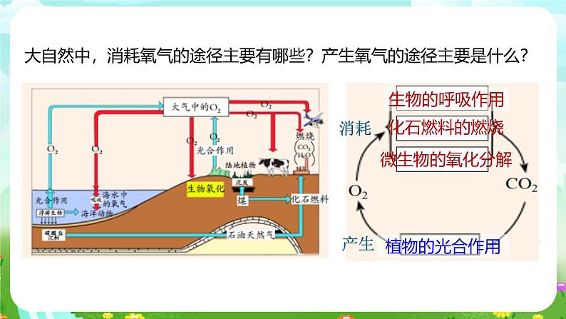 浙教版科学八下 3.7《自然界中的氧循环和碳循环》课件第7页