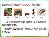 浙教版科学八下 4.1《土壤的成分》第1课时 课件+教案+练习+素材