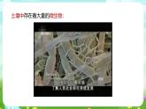 浙教版科学八下 4.1《土壤的成分》第1课时 课件+教案+练习+素材