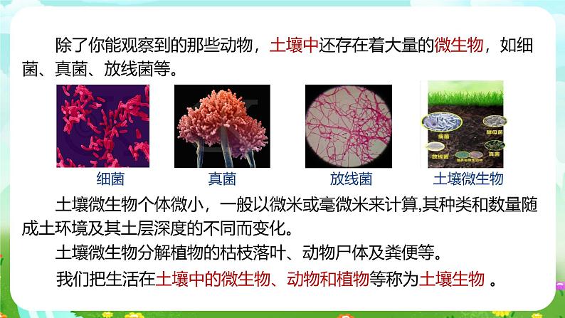 浙教版科学八下 4.1《土壤的成分》第1课时 课件第6页