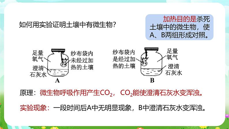 浙教版科学八下 4.1《土壤的成分》第1课时 课件第7页