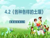 浙教版科学八下 4.2《各种各样的土壤》课件+教案+练习