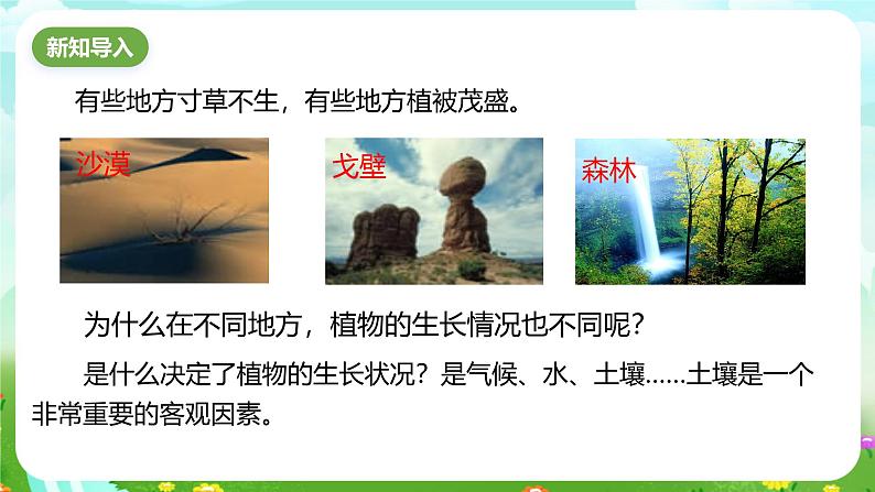 浙教版科学八下 4.2《各种各样的土壤》课件第2页