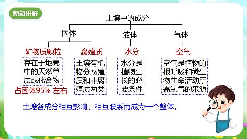 浙教版科学八下 4.2《各种各样的土壤》课件第3页