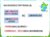 浙教版科学八下 4.2《各种各样的土壤》课件+教案+练习