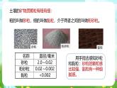 浙教版科学八下 4.2《各种各样的土壤》课件+教案+练习