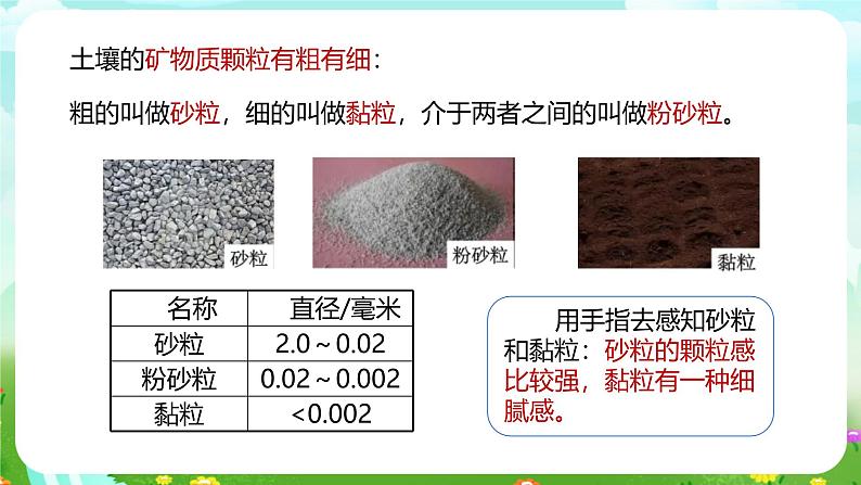 浙教版科学八下 4.2《各种各样的土壤》课件第5页