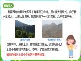 浙教版科学八下 4.3《植物的根与物质吸收》第1课时 课件+教案+练习