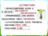 浙教版科学八下 4.3《植物的根与物质吸收》第2课时 课件+教案+练习+素材