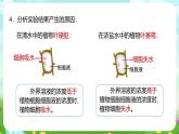 浙教版科学八下 4.3《植物的根与物质吸收》第2课时 课件+教案+练习+素材