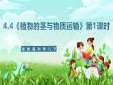 浙教版科学八下 4.4《植物的茎与物质运输》第1课时 课件+教案+练习