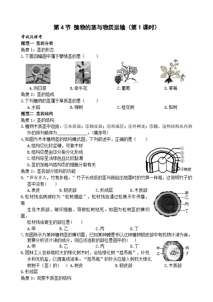 浙教版科学八下 4.4《植物的茎与物质运输》第1课时 练习第1页