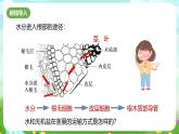 浙教版科学八下 4.4《植物的茎与物质运输》第2课时 课件+教案+练习