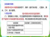 浙教版科学八下 4.4《植物的茎与物质运输》第2课时 课件+教案+练习