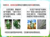 浙教版科学八下 4.5《植物的叶与蒸腾作用》第1课时 课件+教案+练习+素材