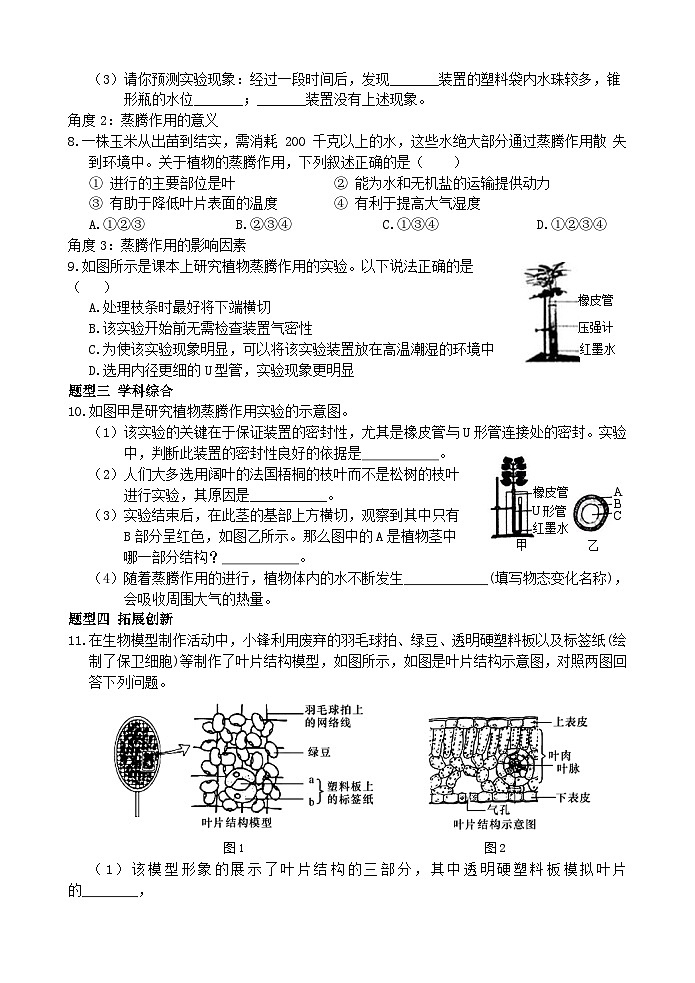 浙教版科学八下 4.5《植物的叶与蒸腾作用》第1课时 练习第2页