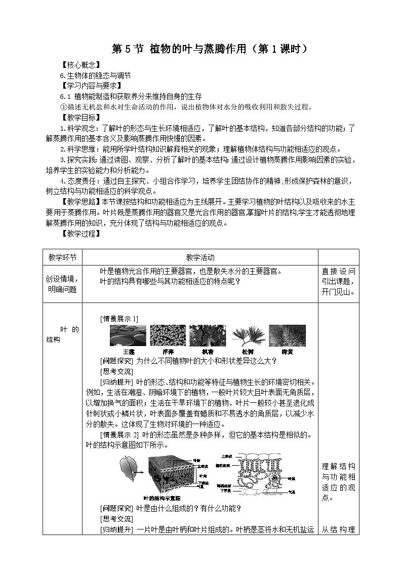 浙教版科学八下 4.5《植物的叶与蒸腾作用》第1课时 教案第1页
