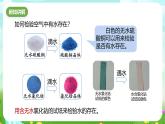 浙教版科学八下 4.5《植物的叶与蒸腾作用》第2课时 课件+教案+练习+素材
