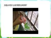 浙教版科学八下 4.5《植物的叶与蒸腾作用》第2课时 课件+教案+练习+素材