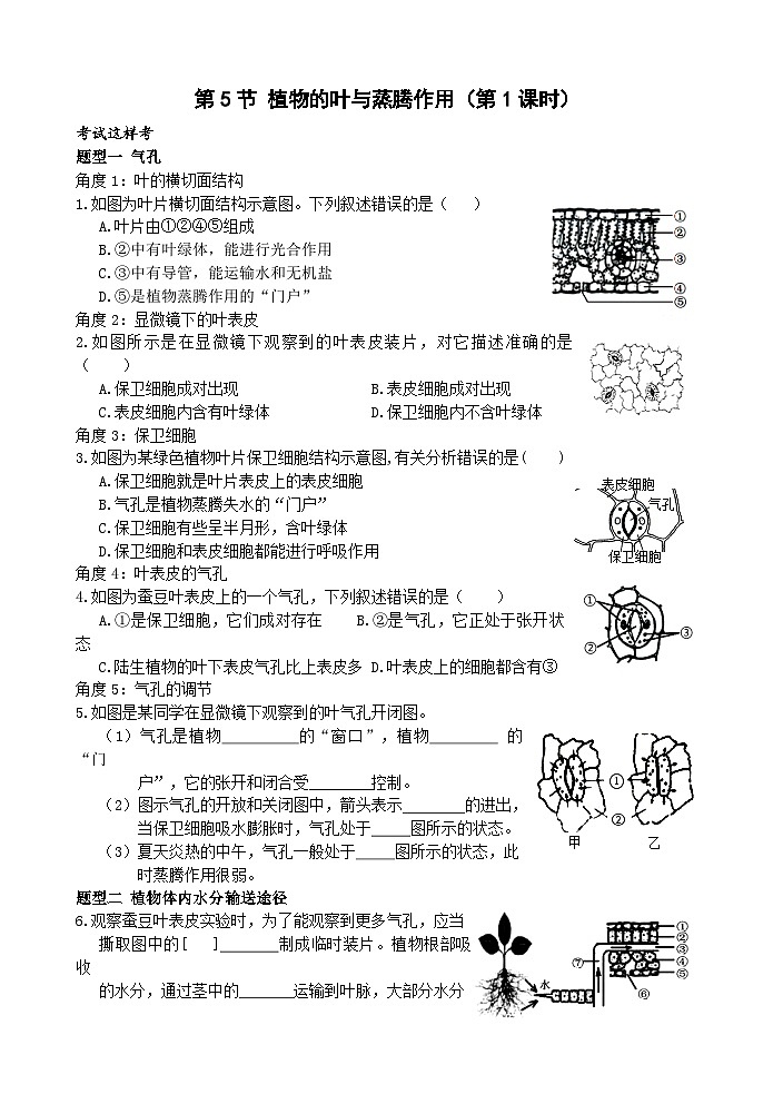 浙教版科学八下 4.5《植物的叶与蒸腾作用》第2课时 练习第1页