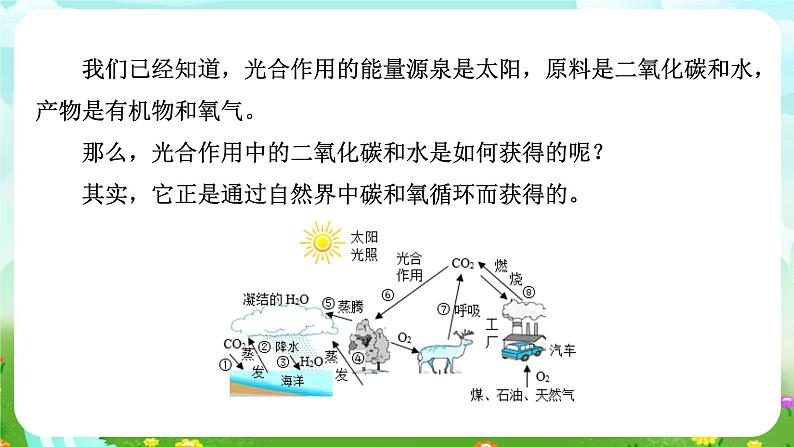 华师大版科学九下 3.2《自然界中的碳循环和氧循环》课件第3页