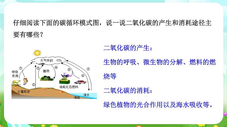 华师大版科学九下 3.2《自然界中的碳循环和氧循环》课件第6页