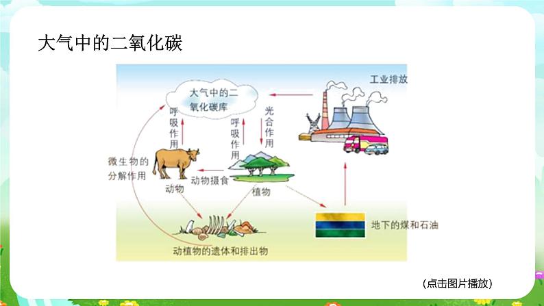 华师大版科学九下 3.2《自然界中的碳循环和氧循环》课件第8页