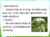 华师大版科学九下 3.3《自然界中的氮循环》第1课时 课件+教案+学案+素材